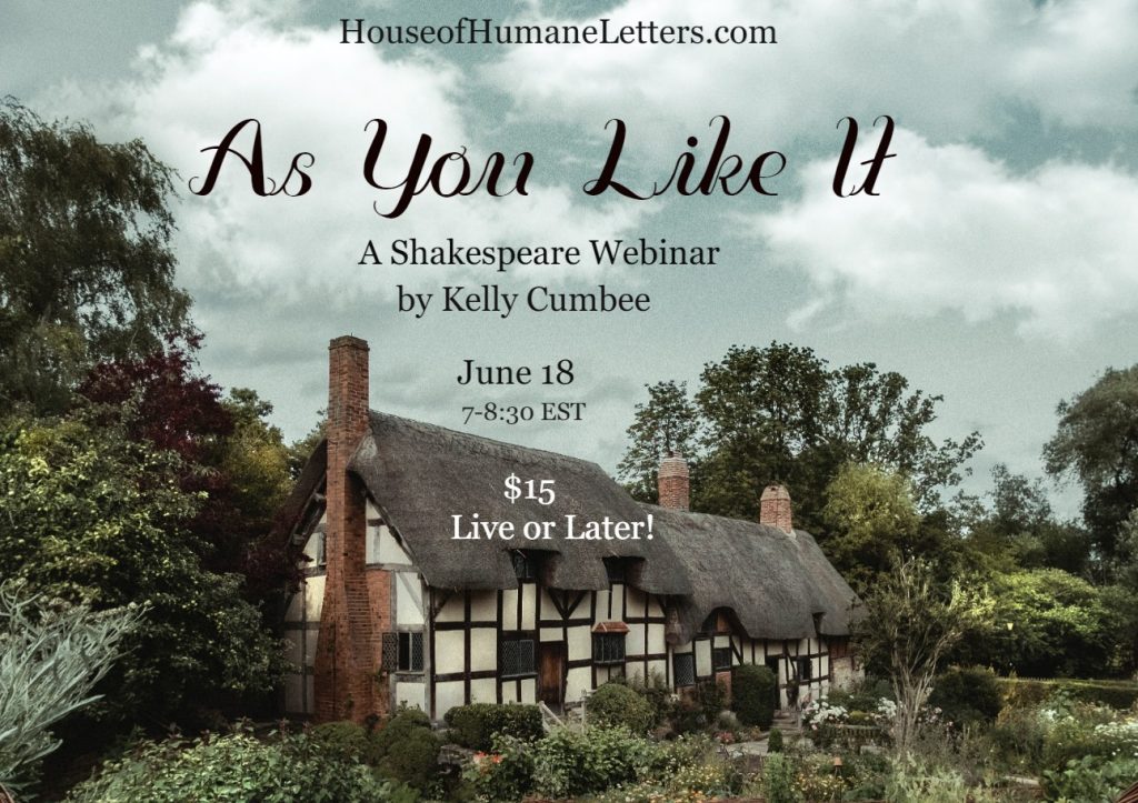 AS You Like it webinar