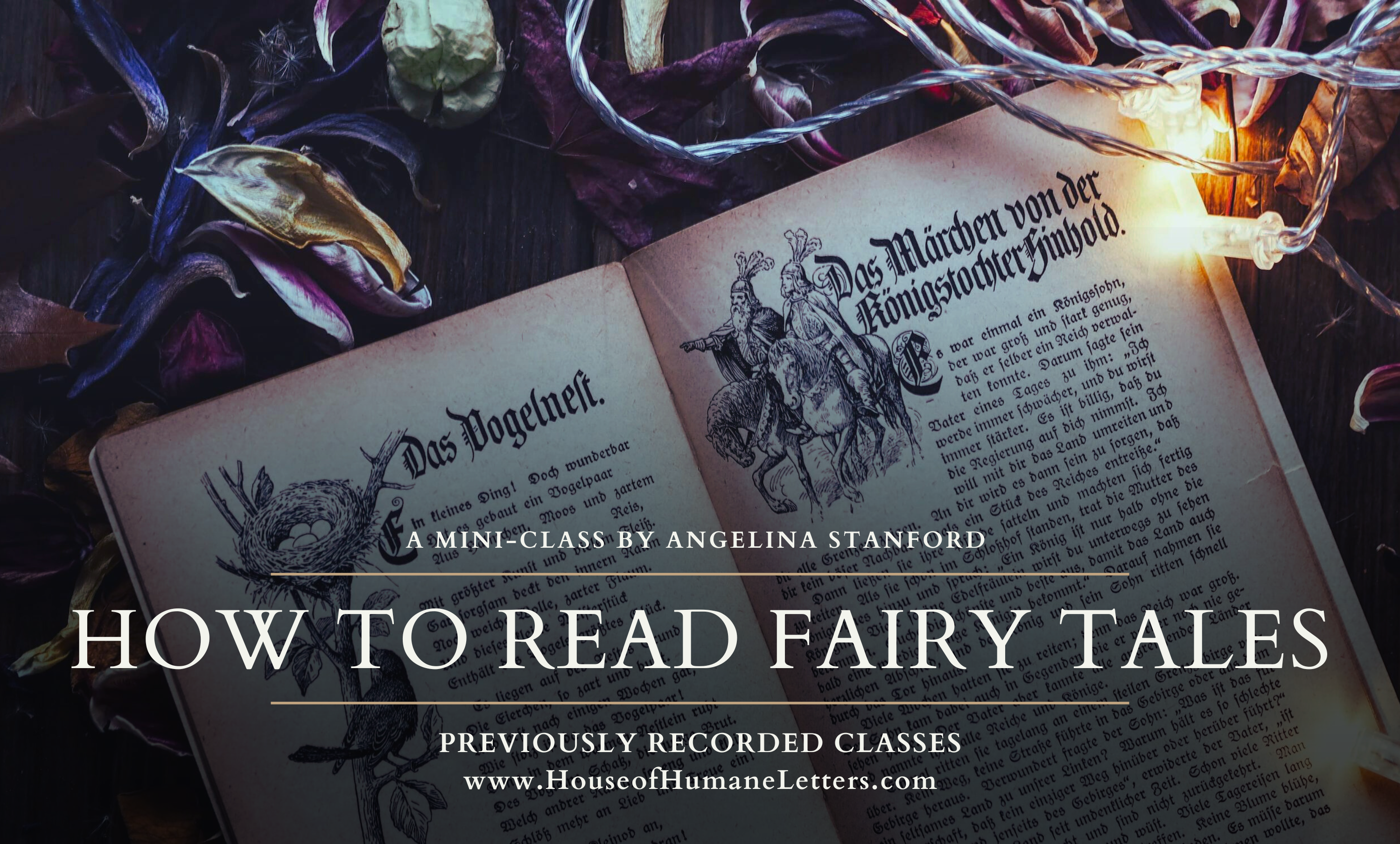 How to Read Fairy Tales Graphic