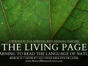 The Living Page: Learning to Read the Language of Nature (Webinar)