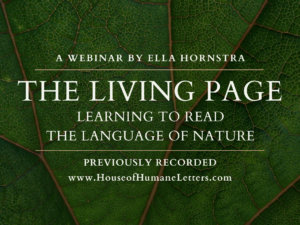 The Living Page: Learning to Read the Language of Nature (Previously Recorded Webinar)