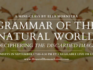 Grammar of the Natural World: Deciphering The Discarded Image (Mini-Class)